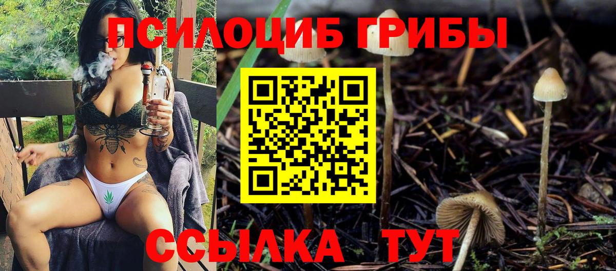 Псилоцибиновые грибы Psilocybine cubensis Стрежевой