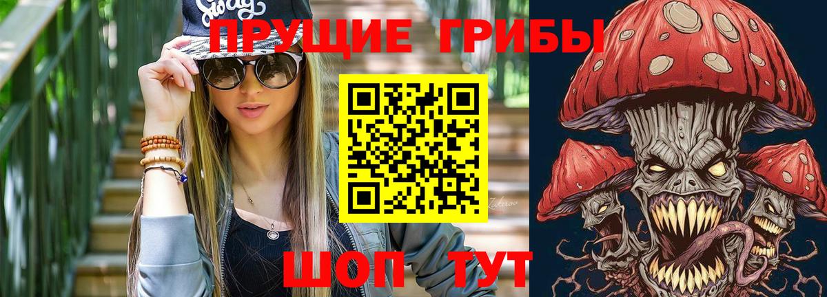 Стрежевой  Псилоцибиновые грибы Psilocybine cubensis  Вход с VPN 